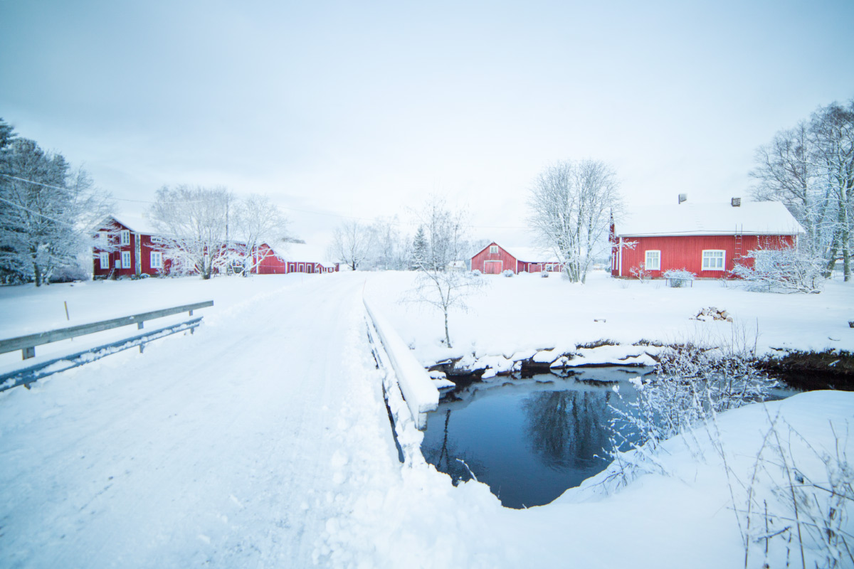 winter walks finland 17