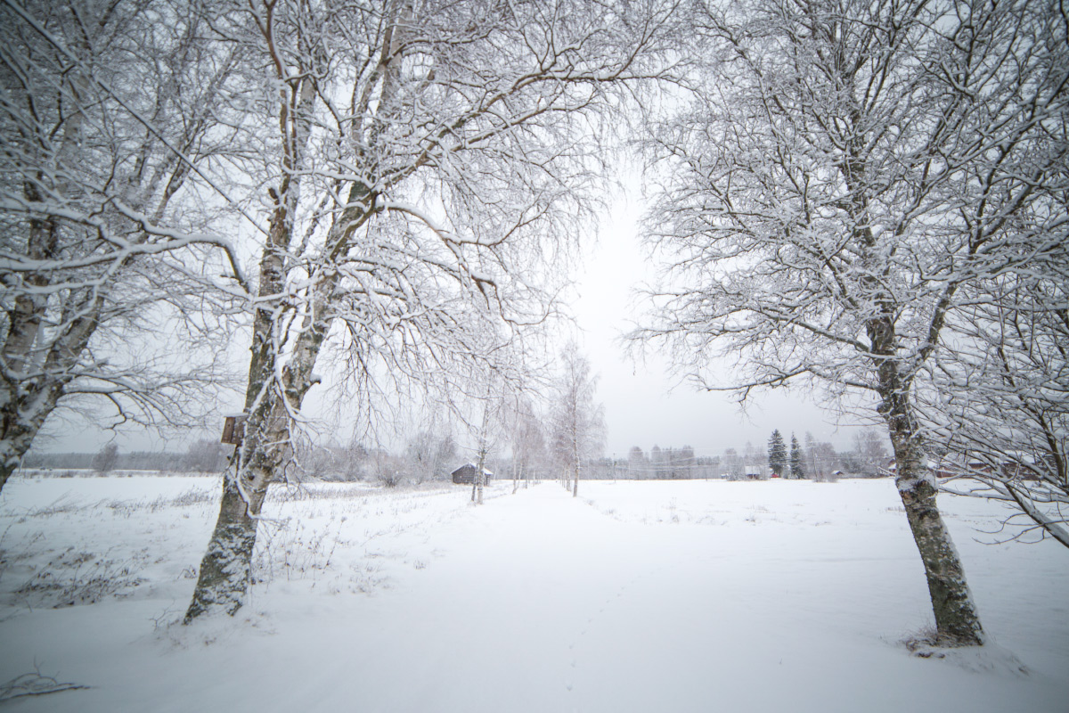 winter walks finland 2