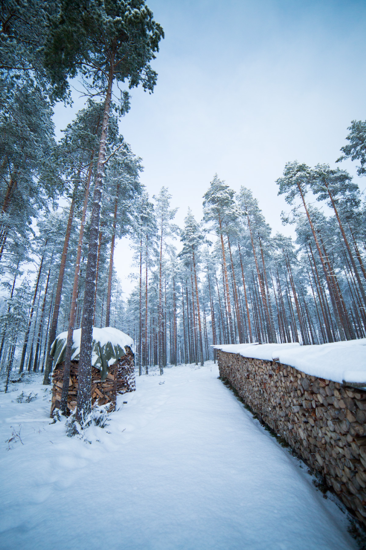 winter walks finland 25