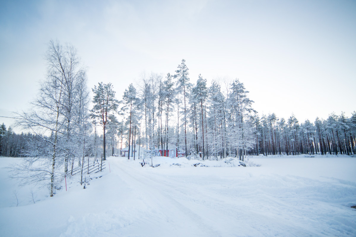 winter walks finland 28