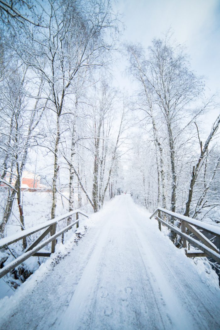 Snow Whisperer, Finland