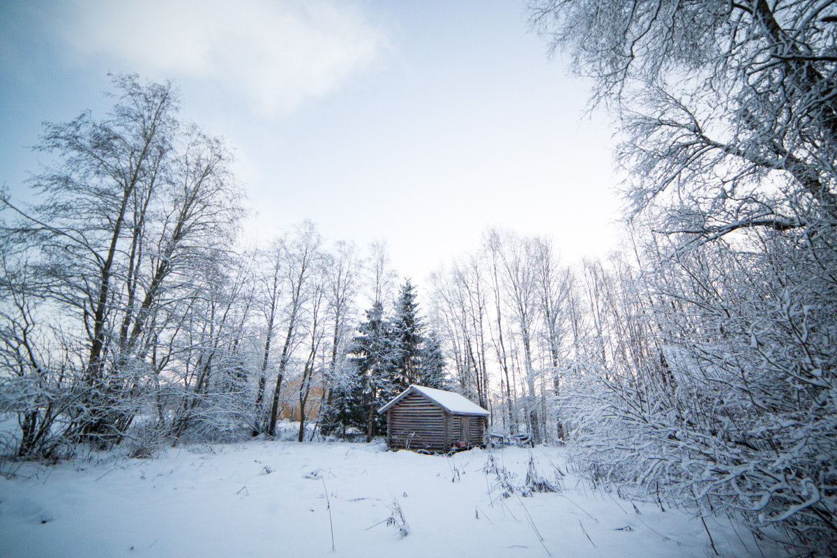 winter walks finland 36