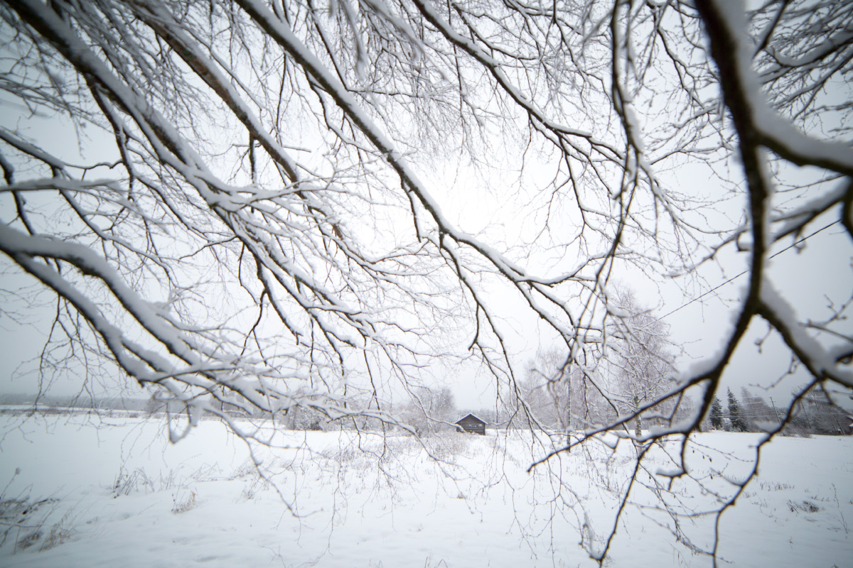 winter walks finland 5