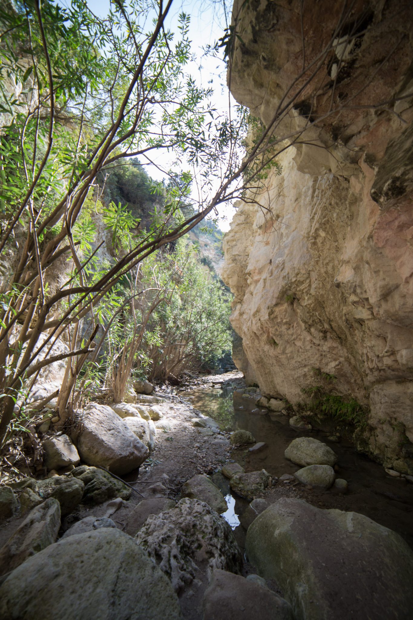 Avakas Gorge near Paphos, Cyprus