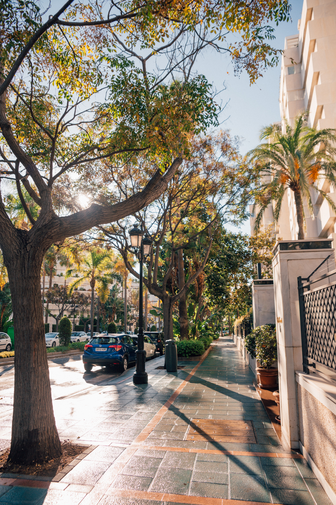 The leafy streets next to the  Aparthotel Monarch Sultan, Marbella