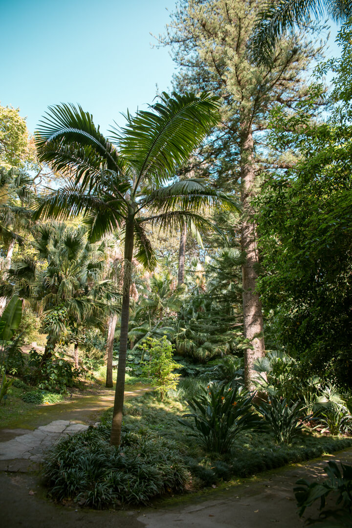La Conception Botanical Garden Malaga (Jardin Botanico La Conception) Spain