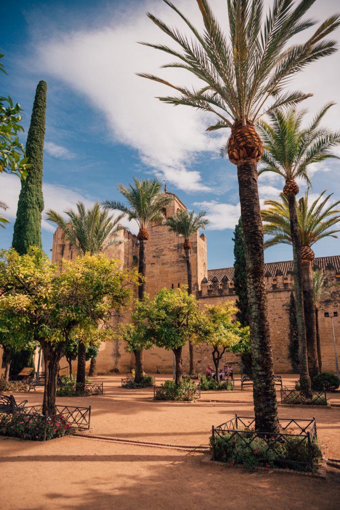 From Malaga to Cordoba: Your Detailed Transport Guide