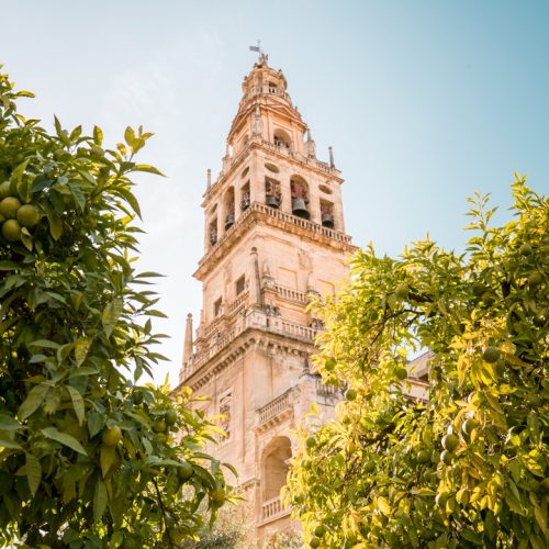 Mezequita Cathedral in Cordoba, Spain (Andalusia)