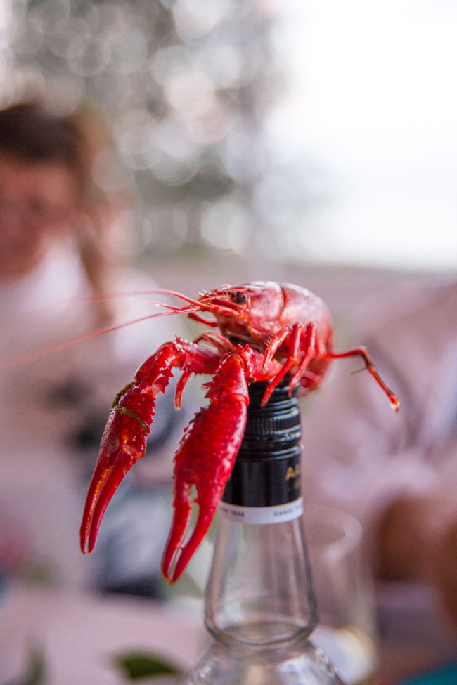 crayfish party
