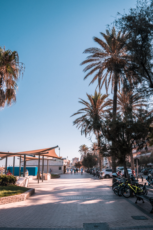 August in Fuengirola: Local Expat’s Guide