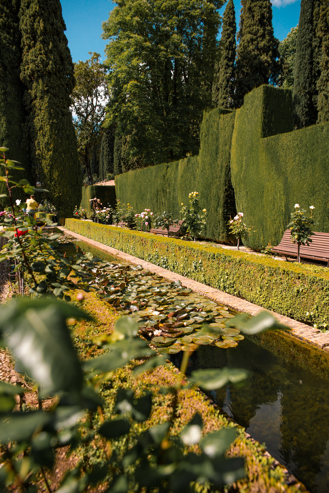 Pond and flowers in the gardens of Generalife in Alhambra, Granada, Southern Spain.