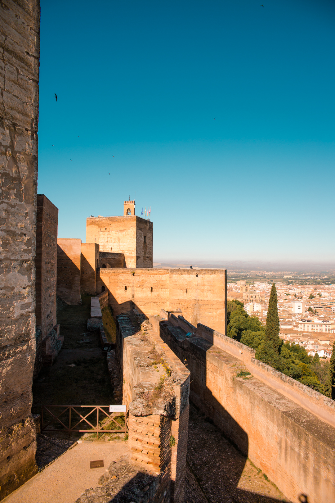 The Alcazar of Granada