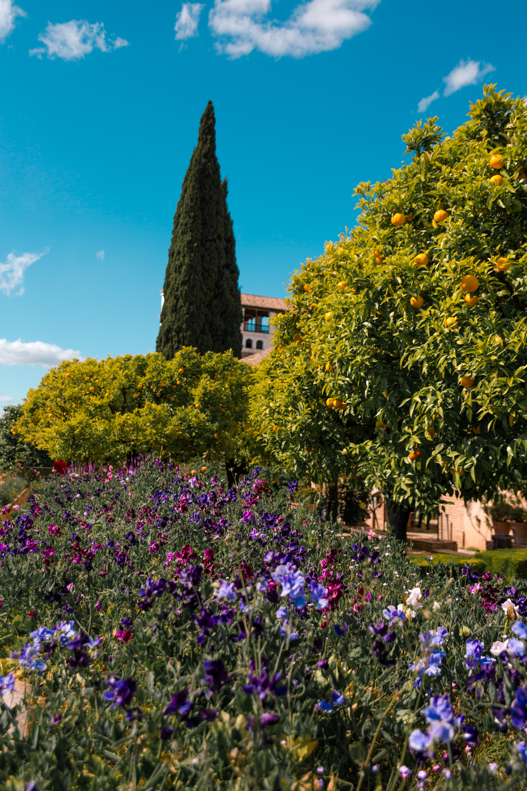 Generalife Gardens, Granada Spain