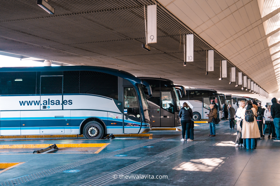 Local buses from Alsa at the bus station in Granada.