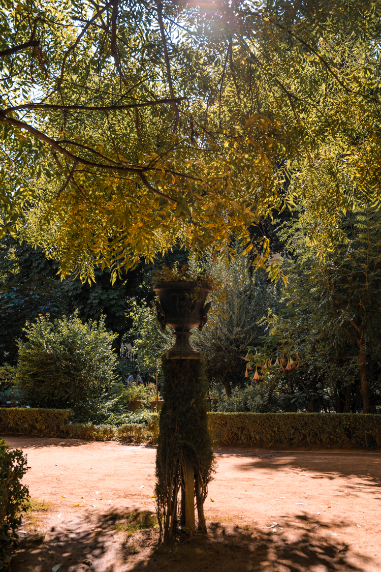 The Botanical Gardens of University of Granada