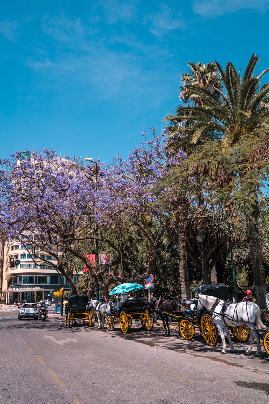 horse carriages in Malaga, Spain