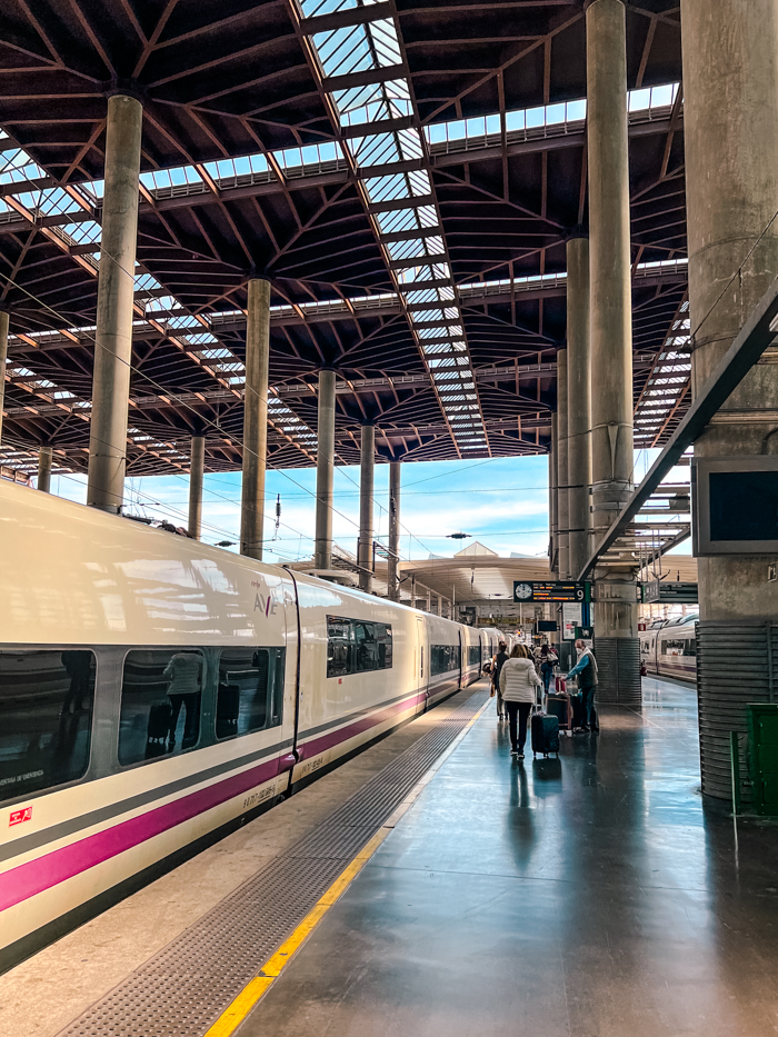 Renfe trains at Malaga Maria Zambrano train station.