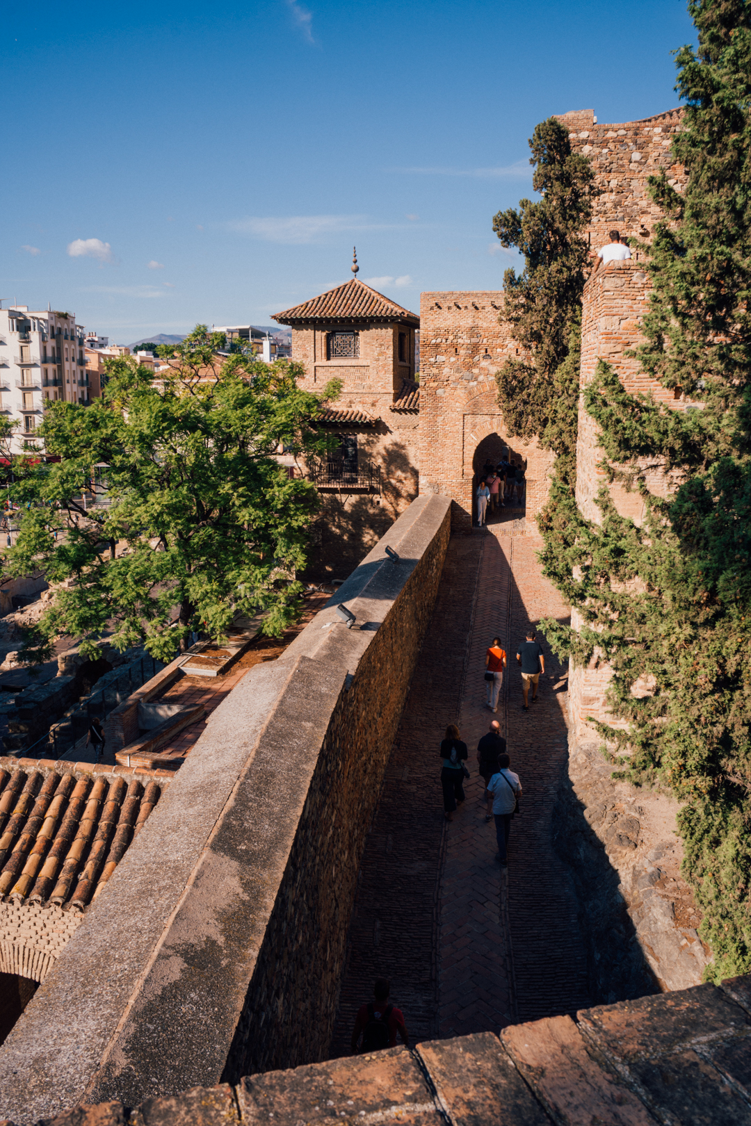 the Alcazaba of Malaga