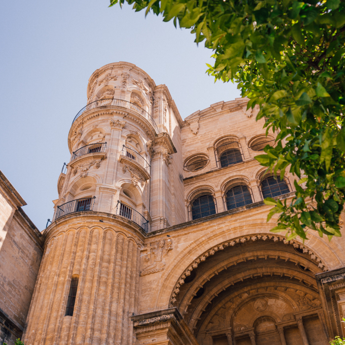 Malaga cathedral, spain