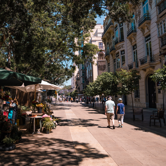 people walking in old town Malaga, Spain