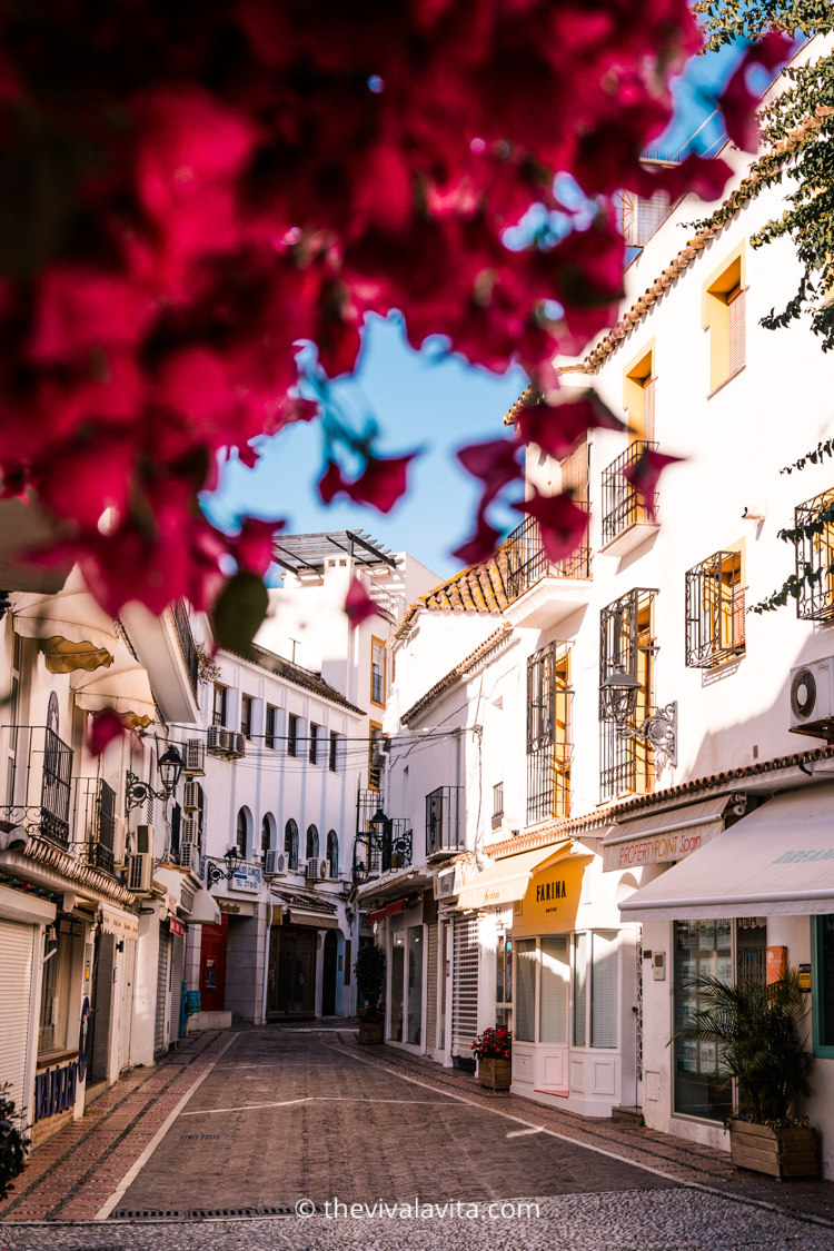flowers blooming on the streets of Marbella old town, in Southern Spain