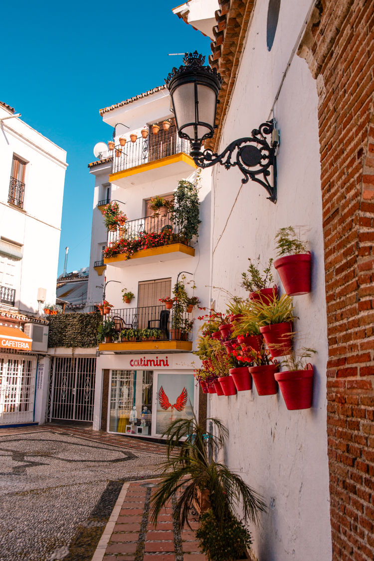 flower pots on a wall on a street in Marbella old town on costa del sol, southern spain
