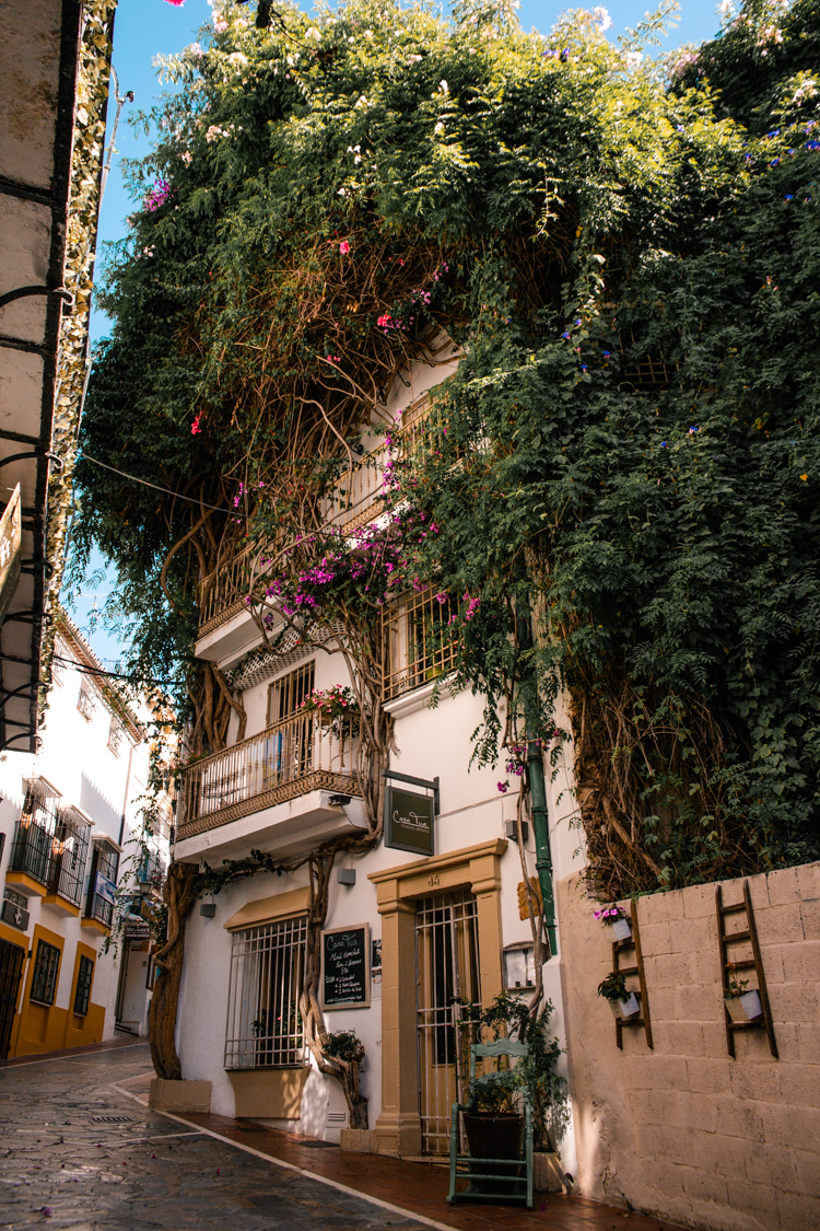 Pretty corners of Marbella's old town ins pring.