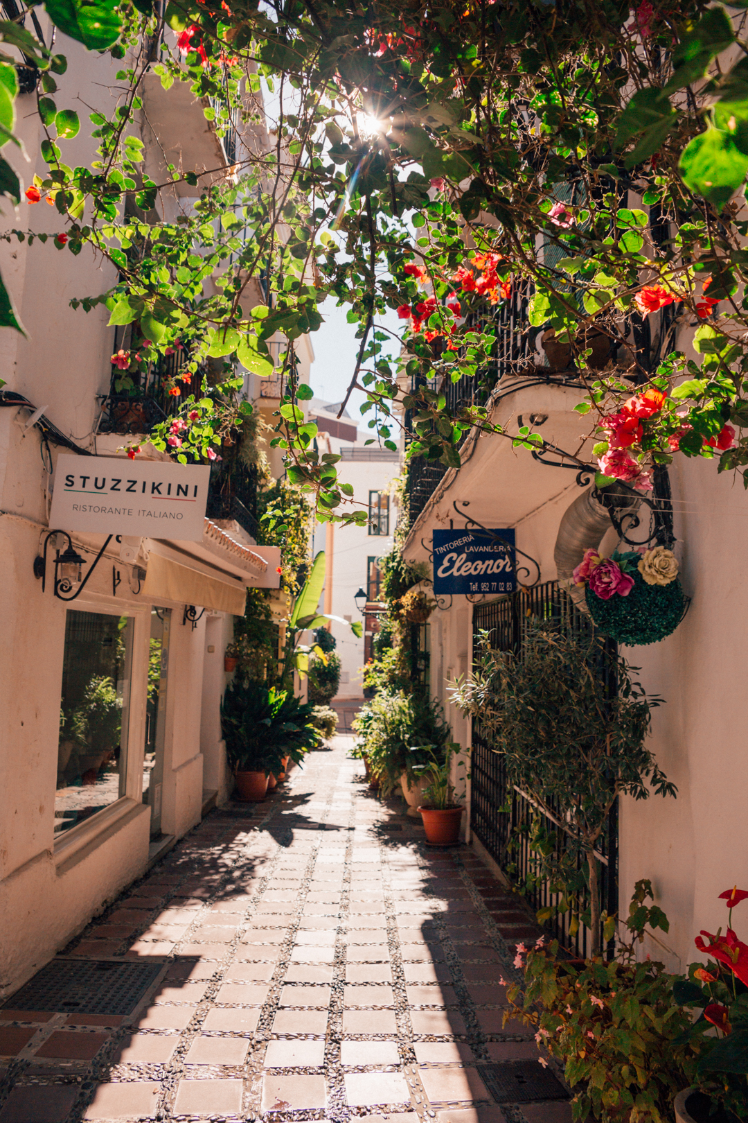 Pretty flowers in the cobblestone streets of Marbella old town