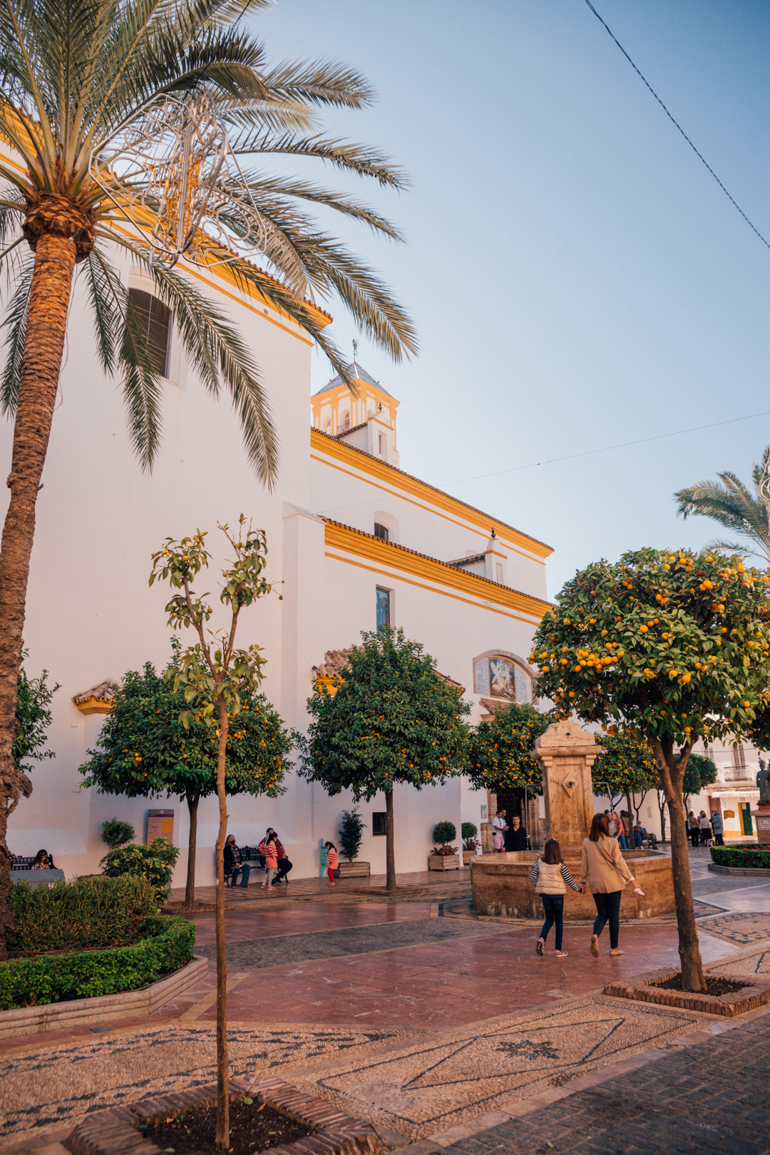 orange trees and church in Marbella old town, Southern Spain