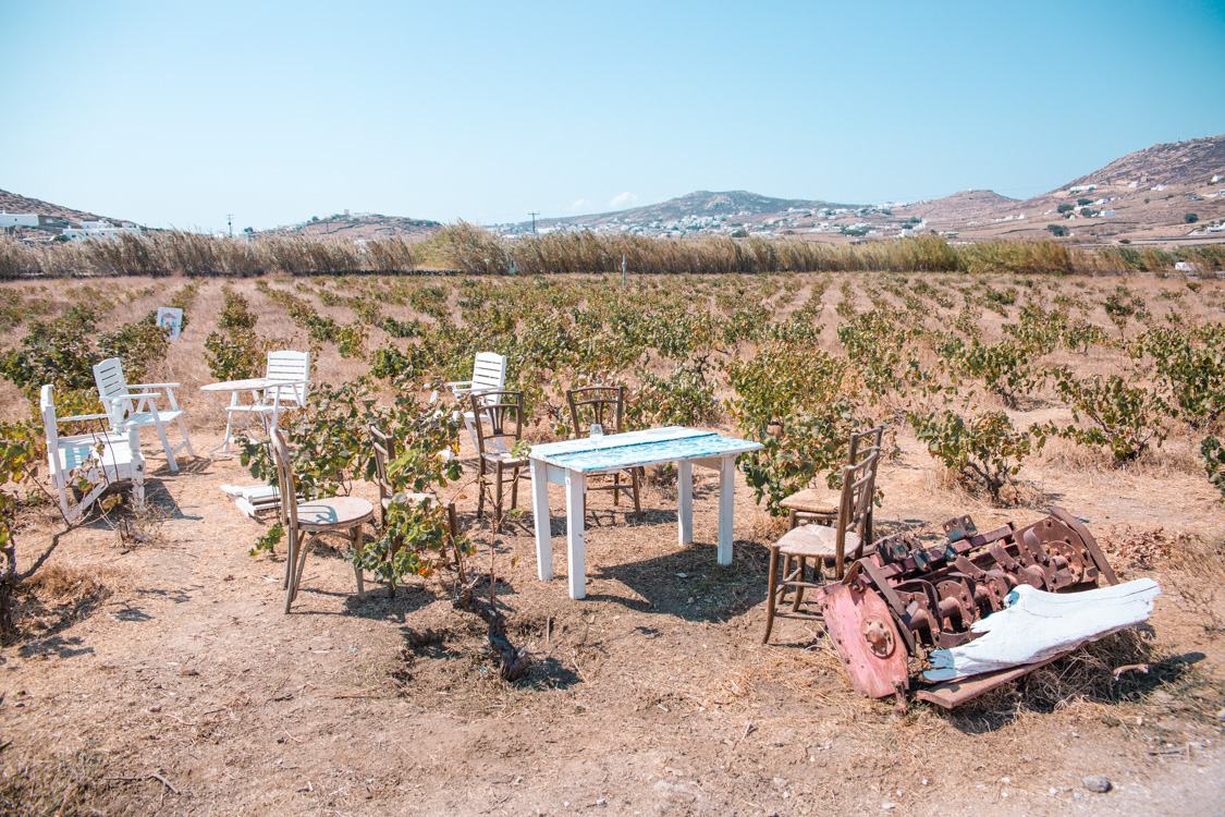 Vioma Organic Farm & Winery, Mykonos