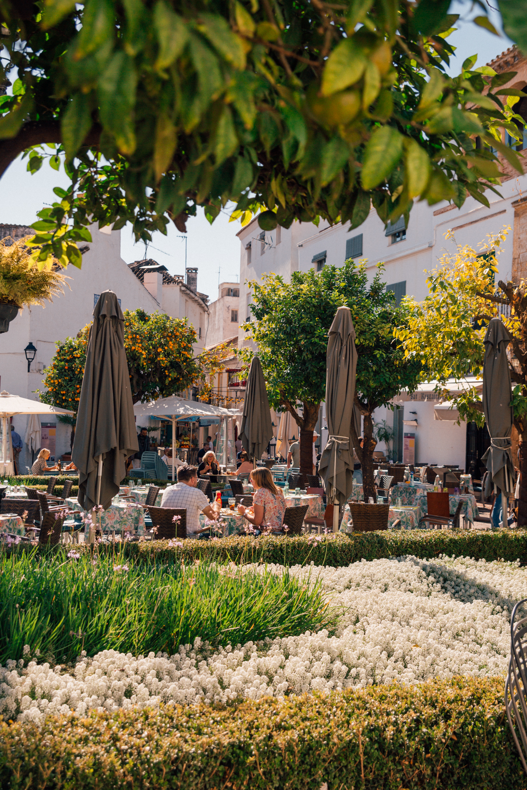 people enjoying lunch at Plaza de los Naranjos, Marbella