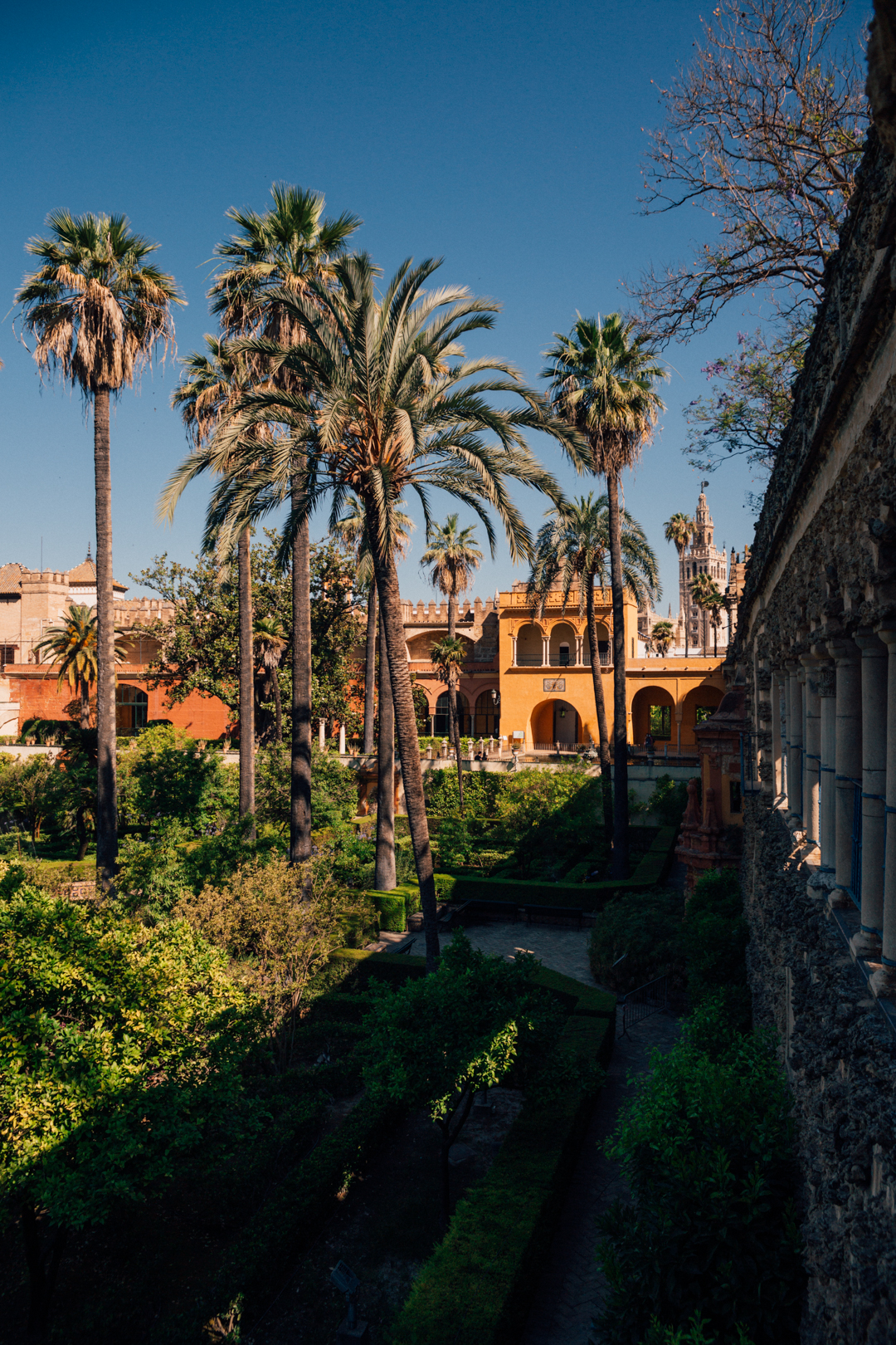 The Real Alcazar of Seville