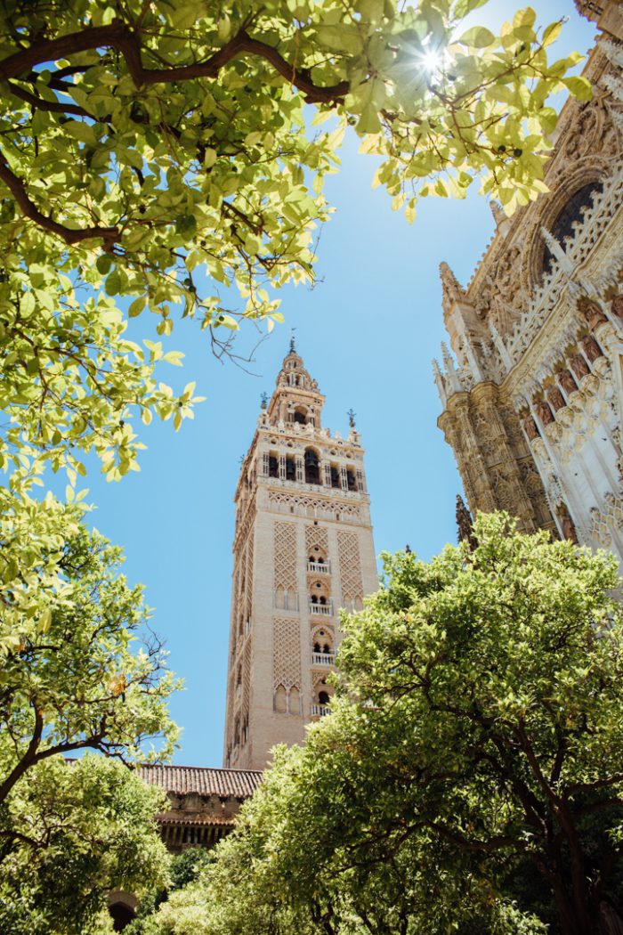 Seville Cathedral & Giralda Tower