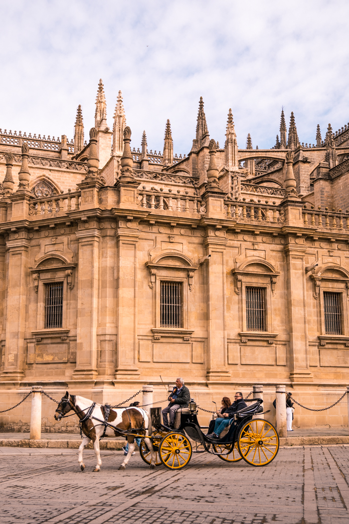 seville cathedral building with horse carriage