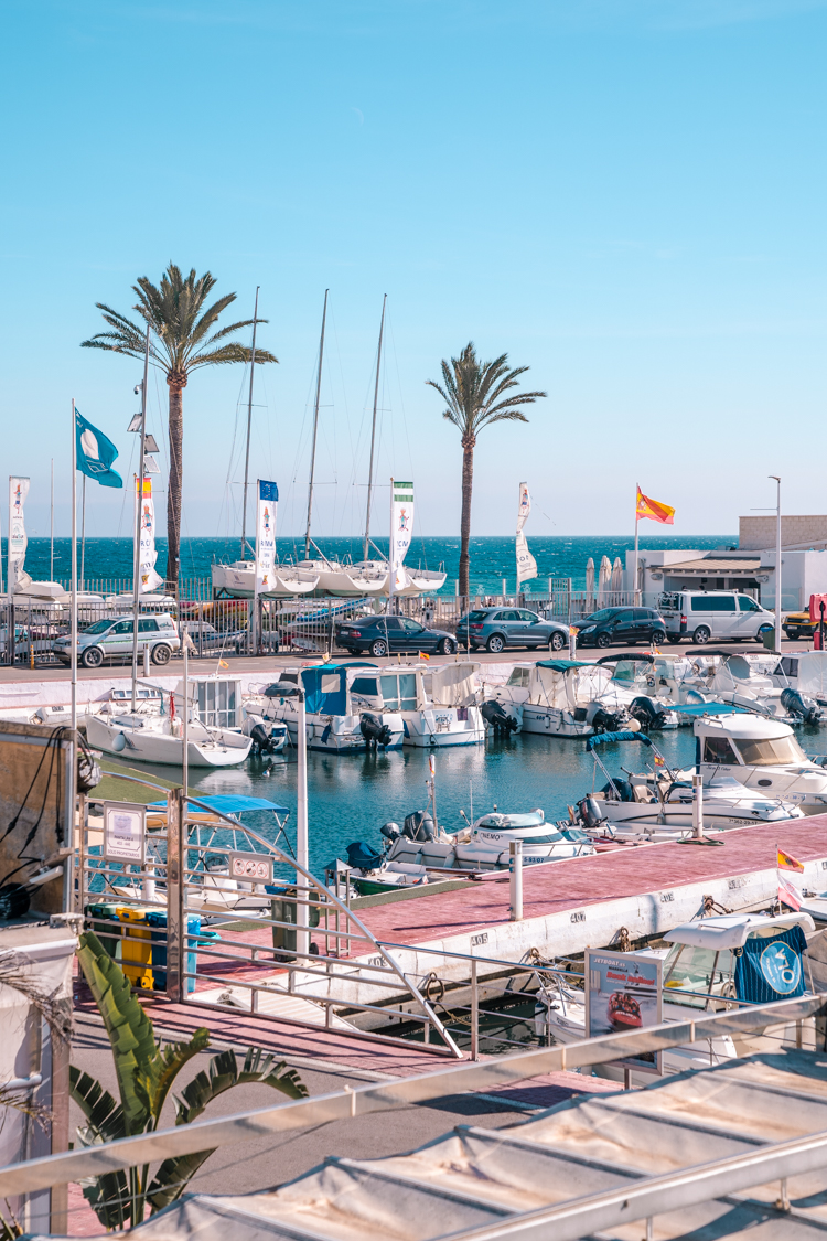 things to do in marbella fishing port