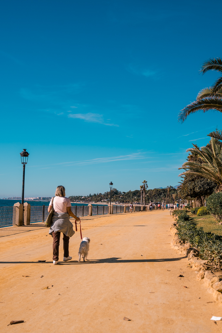 a woman walking a dog on paseo maritimo in Marbella, Spain