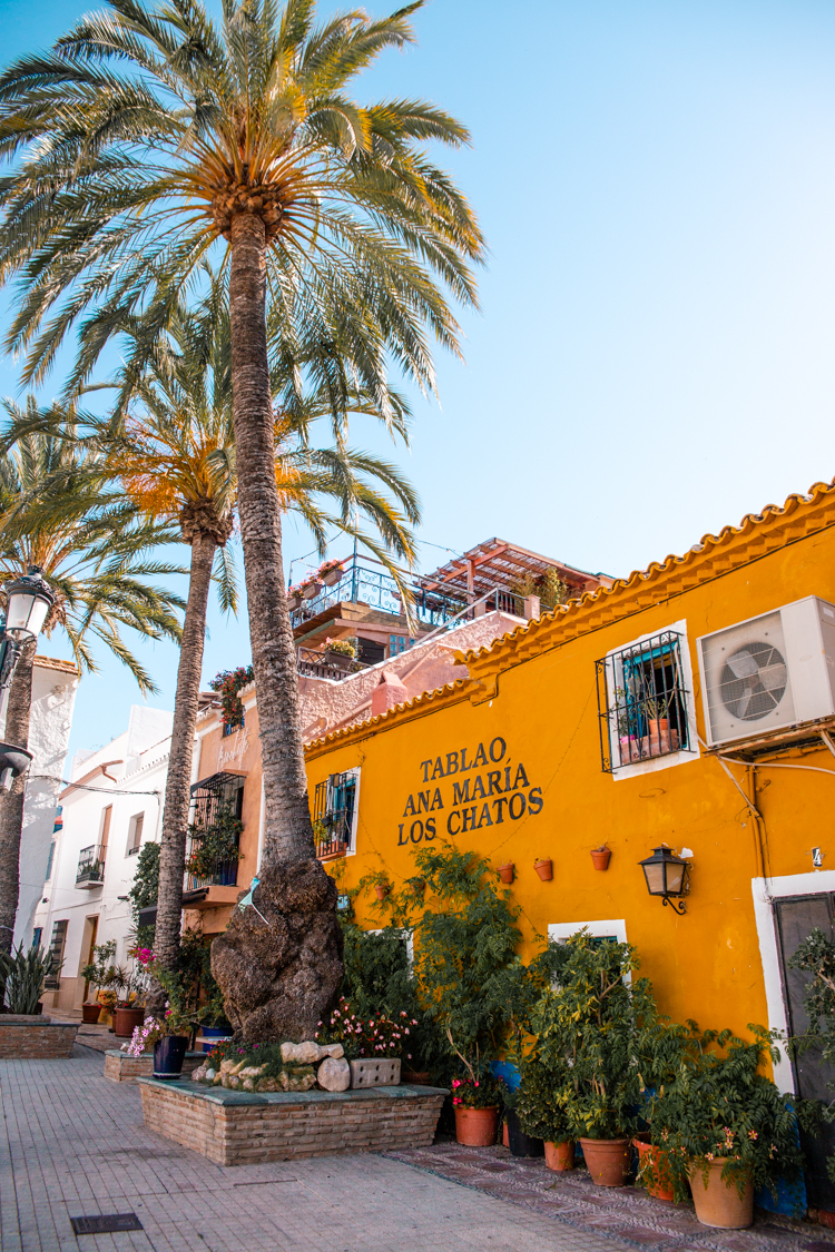 Beautiful restaurants with palm trees in Marbella old town, costa del sol