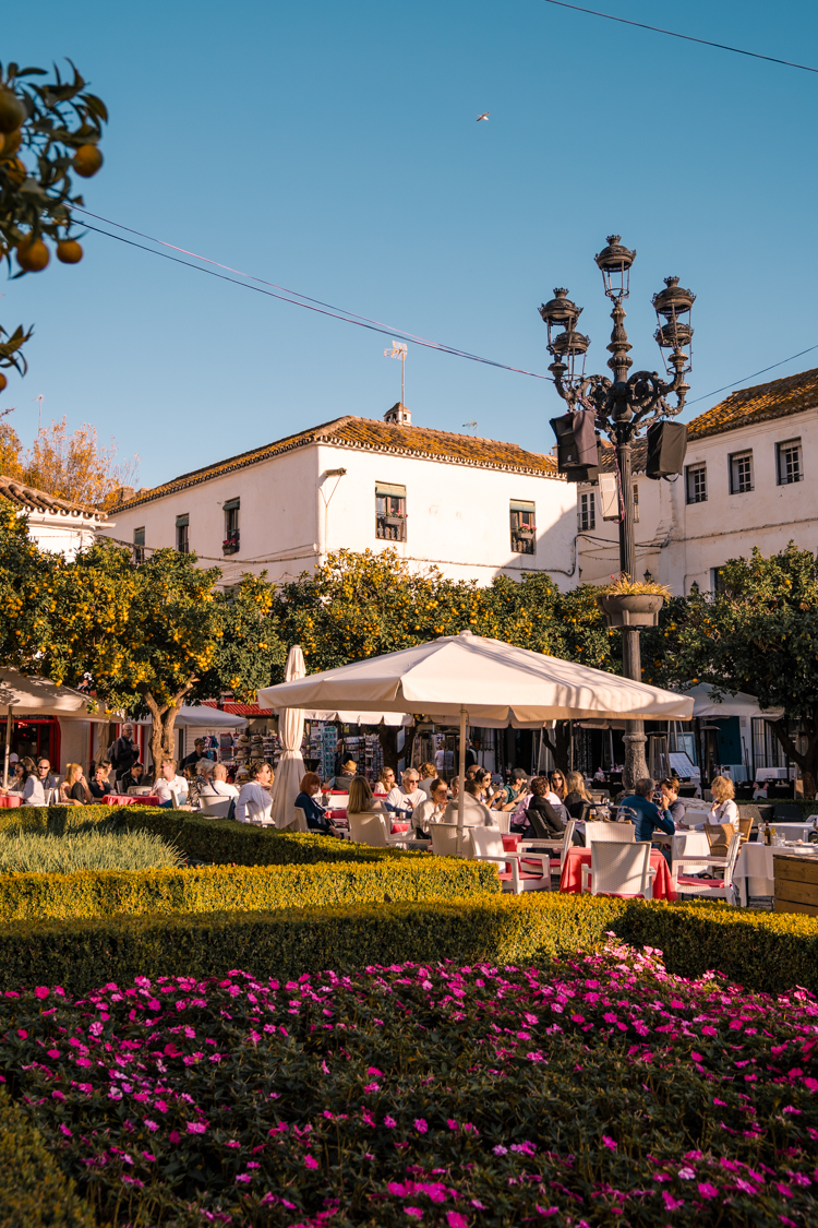 things to do in marbella old town14