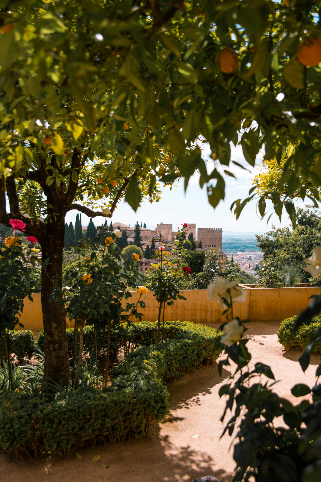 View of the Alcazaba from Generalife Gardens in the summer, in Alhambra, Granada, Southern Spain.